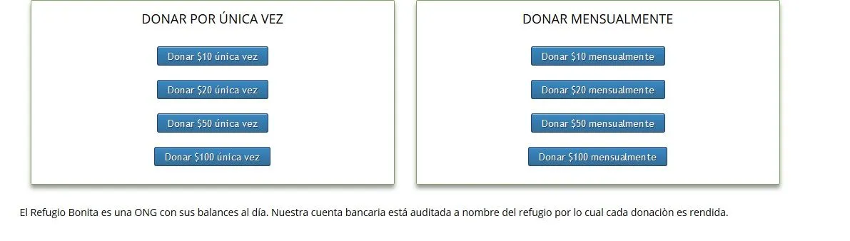falsa+ong.jpg