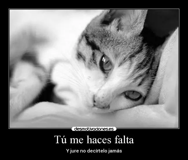 Tú me haces falta | Desmotivaciones