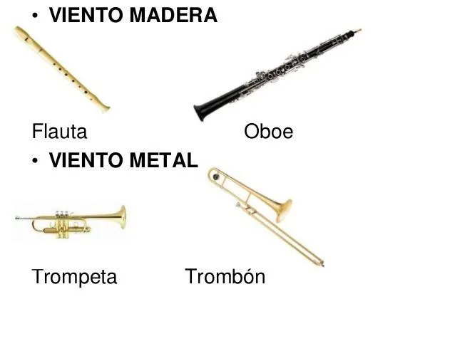 familia-de-instrumentos-para- ...