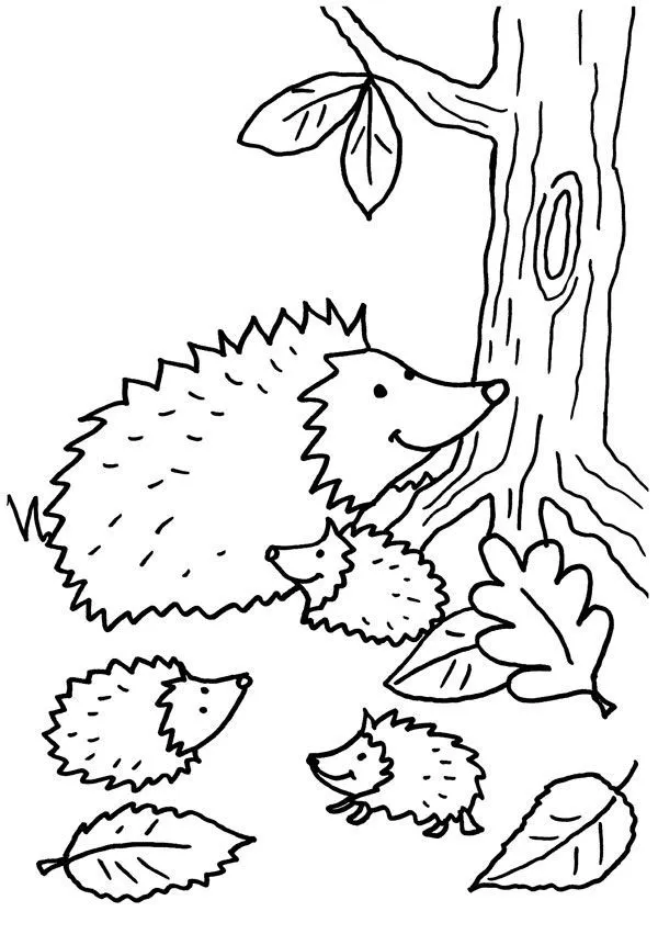 Familia de erizos: dibujo para colorear e imprimir Familia de erizos: dibujo para colorear e imprimir