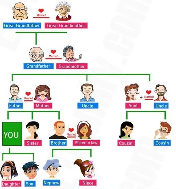 La Familia en Inglés - Vocabulario (Guía de Estudio 2020)