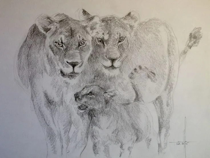 Familia leones a lapiz grafito | Dibujos y Pasteles | Pinterest Familia leones a lapiz grafito | Dibujos y Pasteles | Pinterest