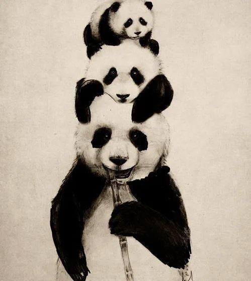 familia de osos | Tumblr