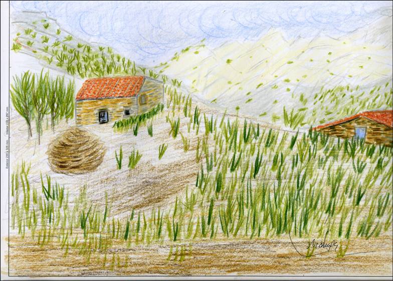 Flora Cantábrica » Drawing.Dibujos. ETNOPAISAJE. Flora Cantábrica » Drawing.Dibujos. ETNOPAISAJE.