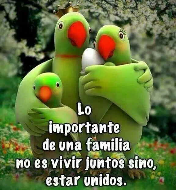 Familia unida | Pensamientos, frases lindas y positivas | Pinterest