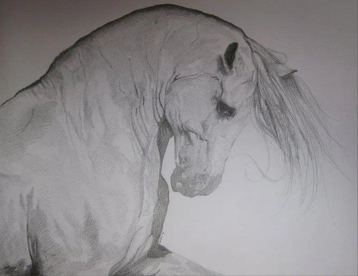 Si fanno anche i disegni su commissione, tanto per non farci ... Si fanno anche i disegni su commissione, tanto per non farci ...
