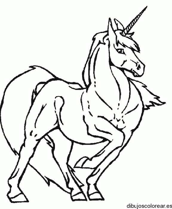 Fantasía | Dibujos para Colorear