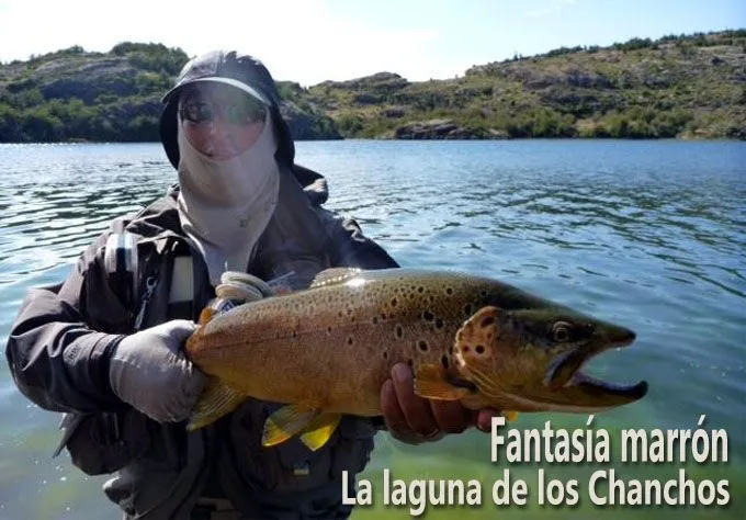 Fantasía marrón, la laguna de los Chanchos - www.lavaguada.cl ... Fantasía marrón, la laguna de los Chanchos - www.lavaguada.cl ...