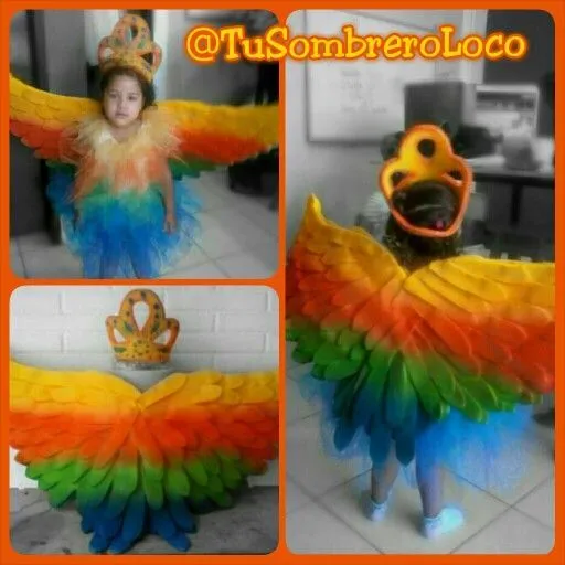 Fantasía Reina Colibrí #disfraz #infantil #evento #colegio ...