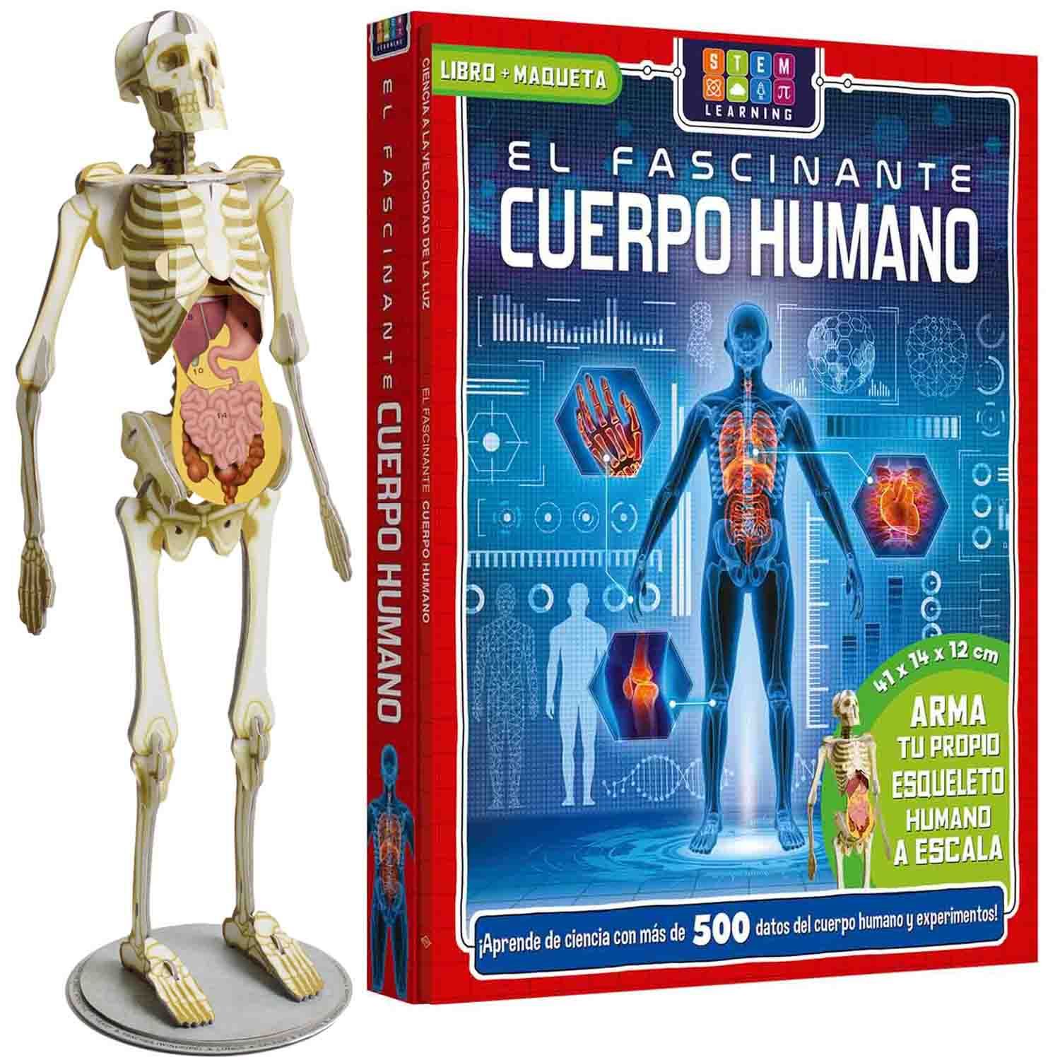 El Fascinante Cuerpo Humano - Libro + Maqueta