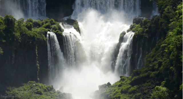 Fascinantes GIFs de la naturaleza animados hasta el infinito ... Fascinantes GIFs de la naturaleza animados hasta el infinito ...