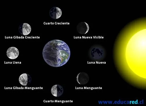 Nombre de las fases de la luna y dibujos - Imagui