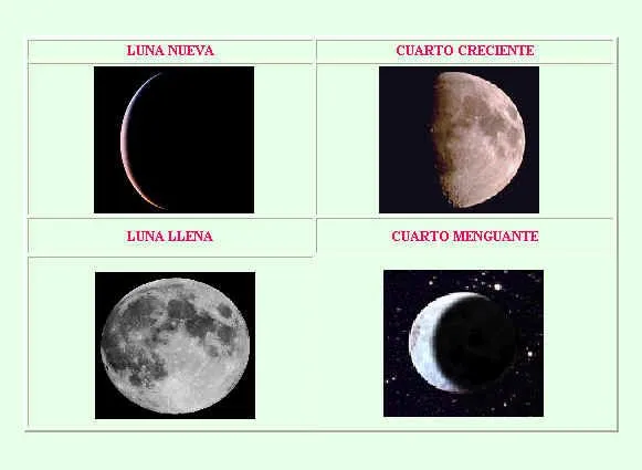 Las cuatro faces de la luna con dibujo - Imagui Las cuatro faces de la luna con dibujo - Imagui
