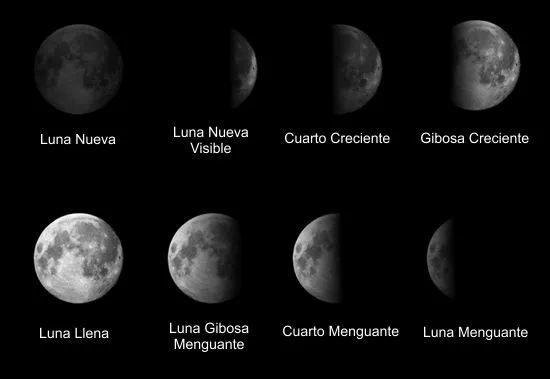 fases+de+la+luna.jpg
