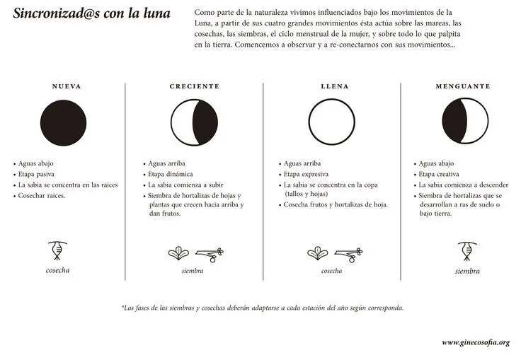 fases de la luna - Buscar con Google | La Tierra | Pinterest | La ... fases de la luna - Buscar con Google | La Tierra | Pinterest | La ...