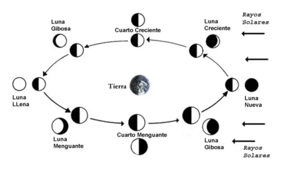 Laminas para colorear fases de la luna - Imagui