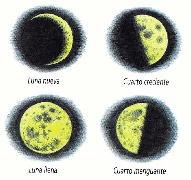 Fases de la luna para niños para colorear - Imagui Fases de la luna para niños para colorear - Imagui