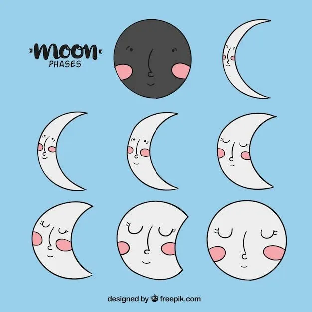 Fases de la luna dibujadas a mano | Vector Gratis Fases de la luna dibujadas a mano | Vector Gratis