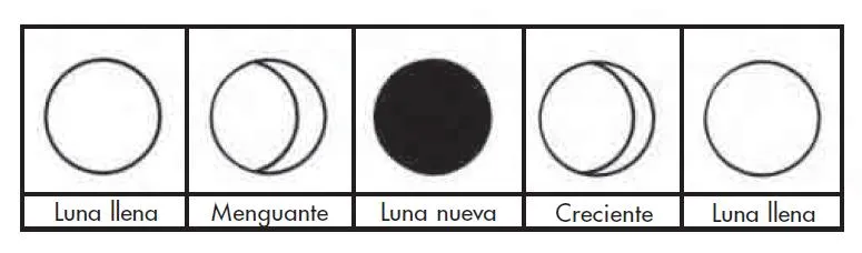 Las fases de la luna en dibujos - Imagui