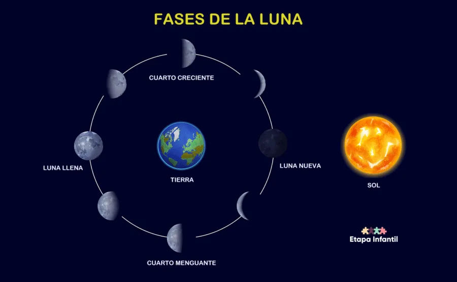 Las fases de la Luna explicadas para los niños - Etapa Infantil