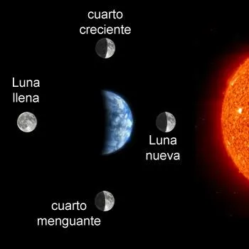 EL RINCÓN DE LA LECTURA: LECTURAS PARA 5º PRIMARIA