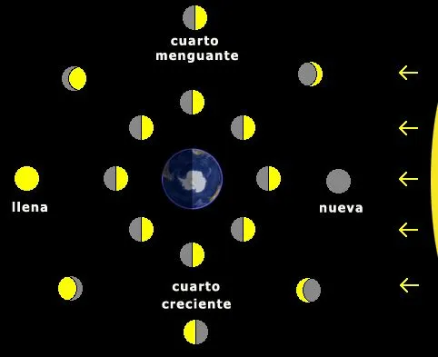 Las fases de la luna para niños de primaria - Imagui