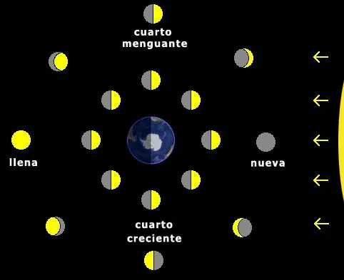 Las fases de la luna para niños de primaria - Imagui Las fases de la luna para niños de primaria - Imagui