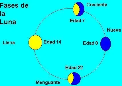 Las fases de la luna para niños de primaria - Imagui Las fases de la luna para niños de primaria - Imagui