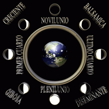 Fases de la luna para niños primaria - Imagui Fases de la luna para niños primaria - Imagui