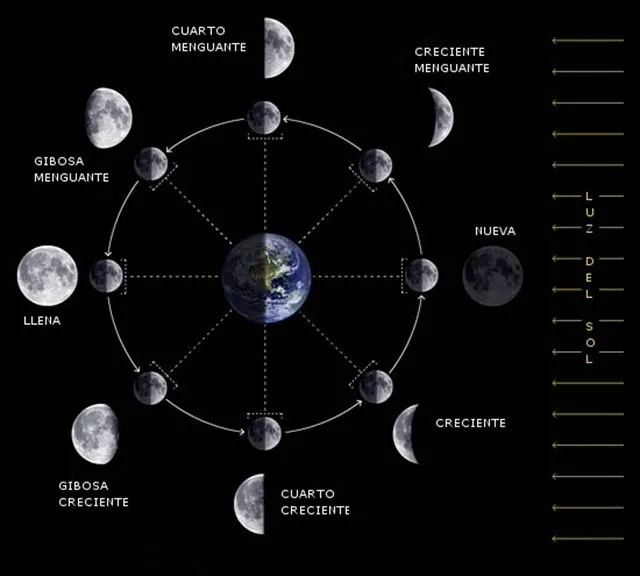 4 fases de la luna con sus nombres - Imagui