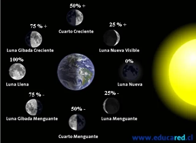 Vive Sana: Las fases de la Luna y la Salud. Vive Sana: Las fases de la Luna y la Salud.