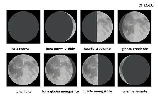 Las fases de la luna - El Universo de los Niños