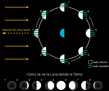 Fases de la Luna - Ventanas al Universo