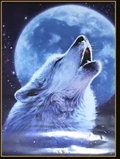Las fases de la Luna: Me voy... (8): A lunear :) Las fases de la Luna: Me voy... (8): A lunear :)