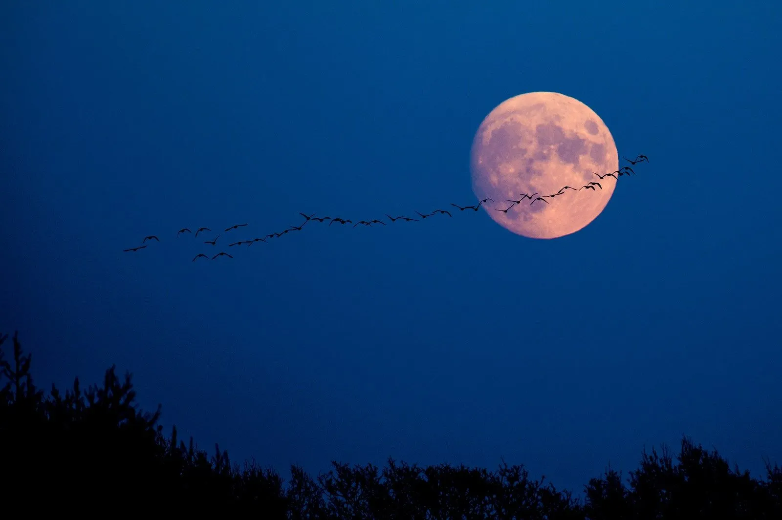 Fases lunares: qué significan, cómo afectan tu estado de ánimo | Vogue Fases lunares: qué significan, cómo afectan tu estado de ánimo | Vogue