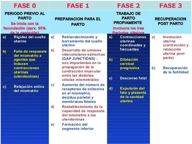 fases-uterinas-del-parto-2-638 ...