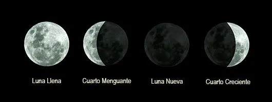 Fases_de_la_luna001(530px).jpg