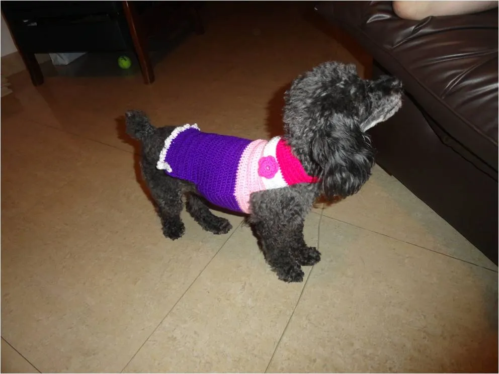 Fashion y Fácil DIY: Ropa para perros a ganchillo. Chalecos y ...