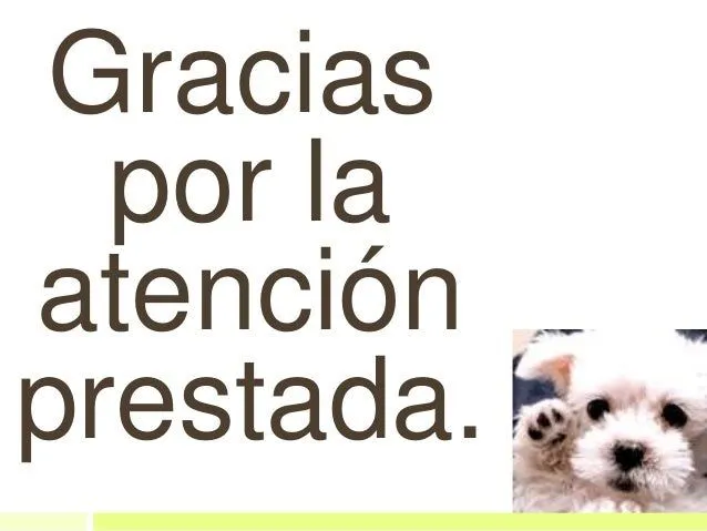 fauna-de-san-antonio-de-prado- ...