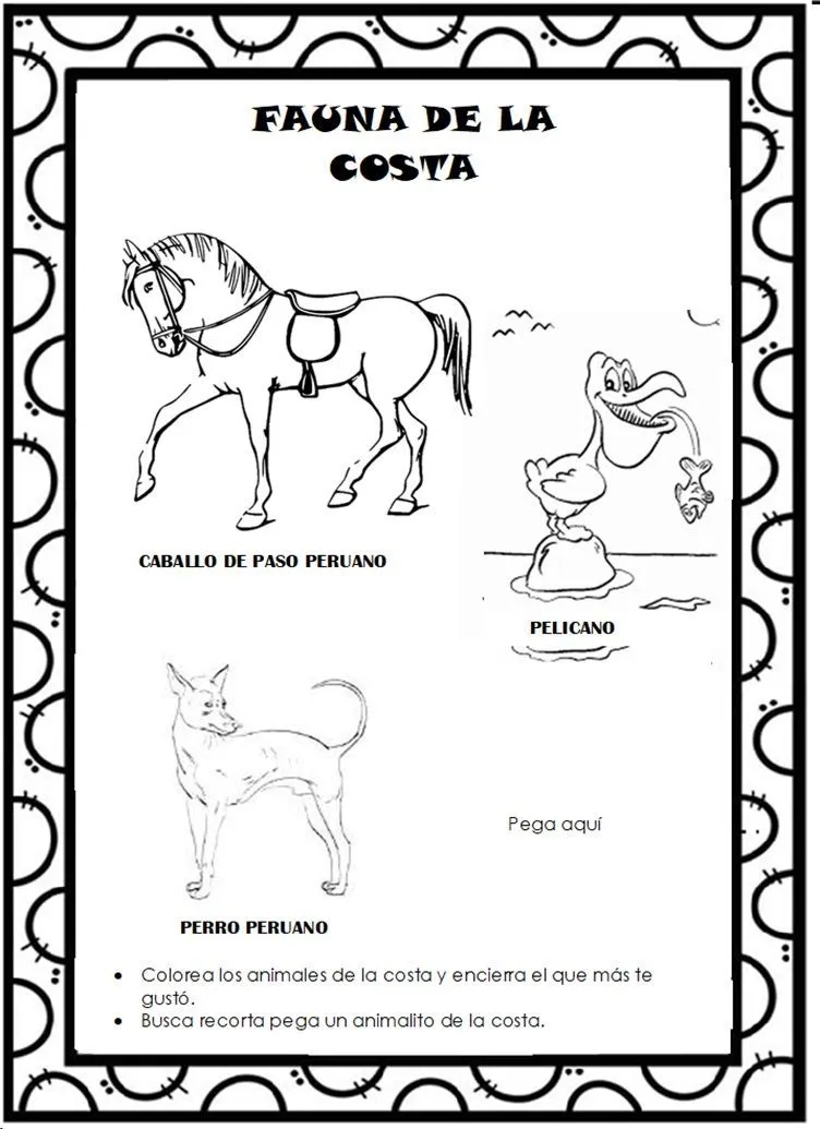 fauna de la región costa. | Education, Person, Mother mary fauna de la región costa. | Education, Person, Mother mary