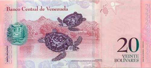 FAUNA DE VENEZUELA: 2013-02-17