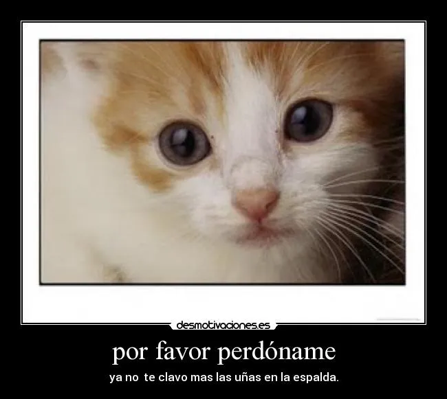 por favor perdóname | Desmotivaciones