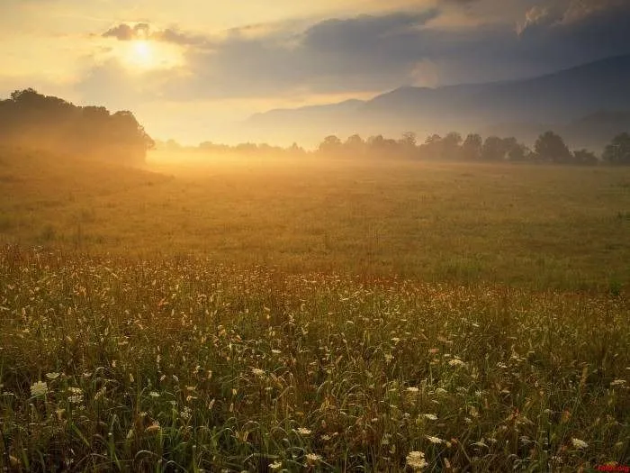 fe | Ven Señor Jesús fe | Ven Señor Jesús