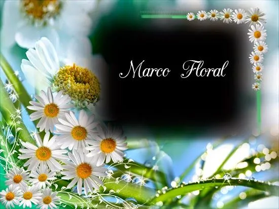 DemoGalery: Marco Romantico Floral