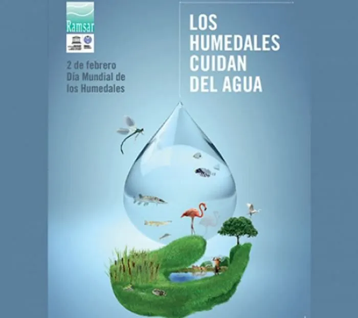 Hoy 2 de febrero día Internacional de los Humedales | Parques ... Hoy 2 de febrero día Internacional de los Humedales | Parques ...