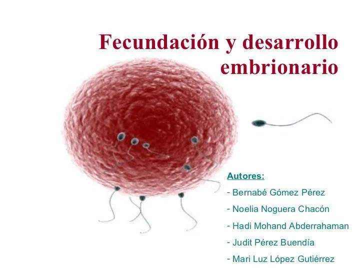 Fecundación y desarrollo embrionario