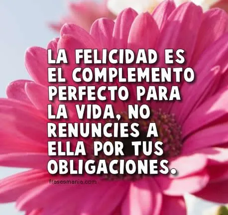La felicidad es el complemento perfecto para .... Frases.
