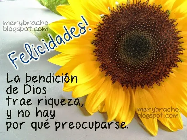 Felicidades. Que la bendición de Dios te enriquezca | Entre Poemas ... Felicidades. Que la bendición de Dios te enriquezca | Entre Poemas ...