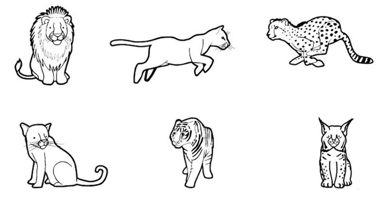 Dibujos Para Colorear De La Pantera Rosa | pantera para imprimir Dibujos Para Colorear De La Pantera Rosa | pantera para imprimir