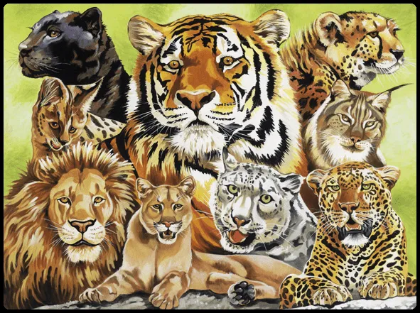 felinos.png
